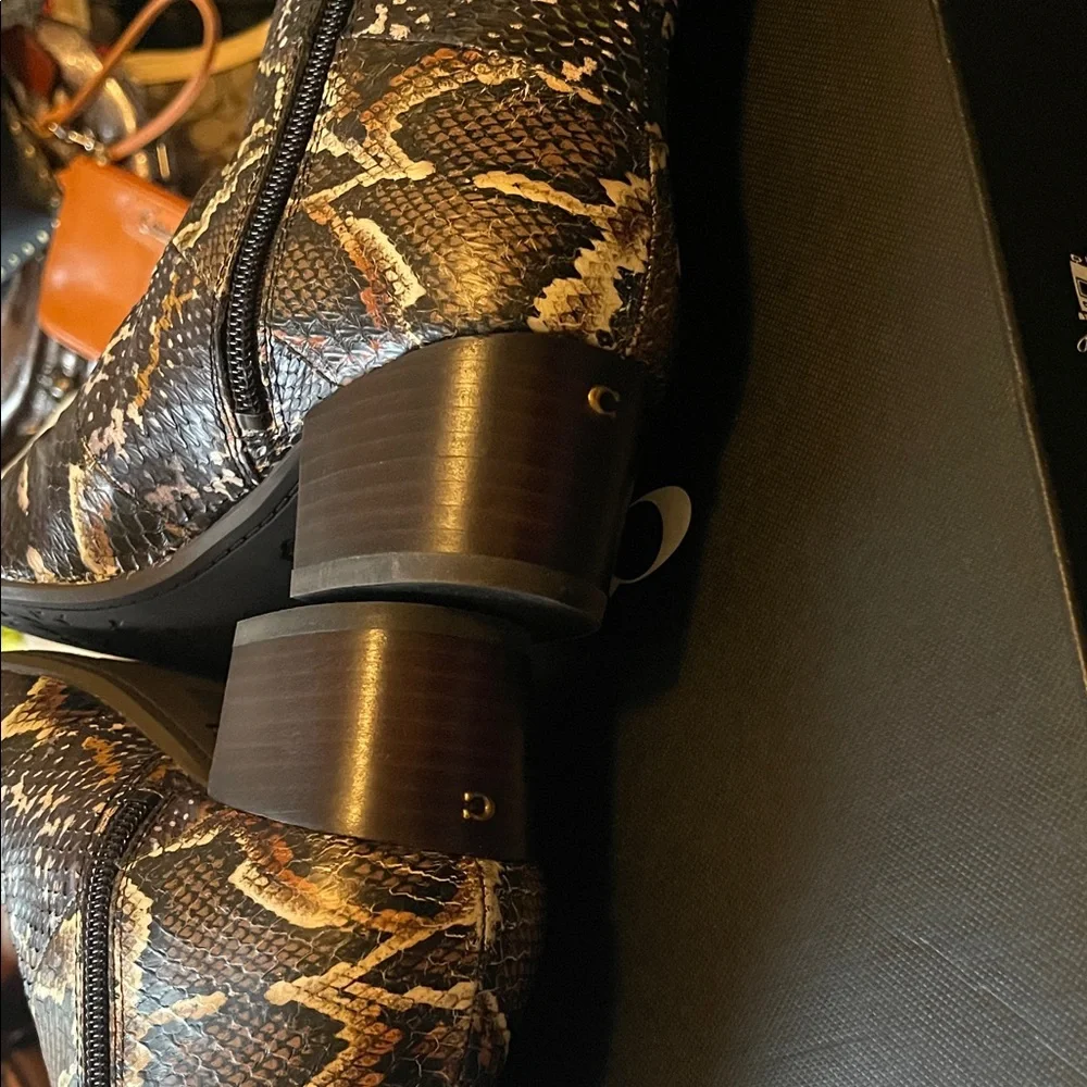 Coach Snake-Print Ankle Boots with Buckle - Black/Brown/Cream - Picture 7 of 8